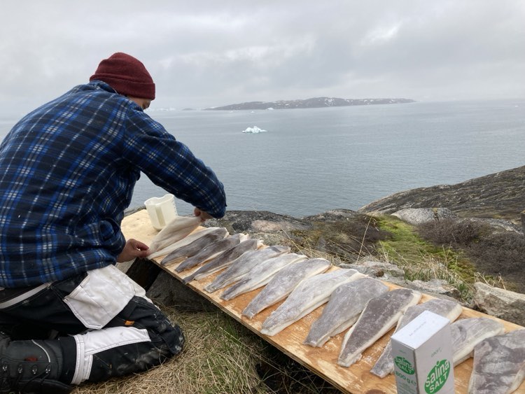 Hellefisk til røgelse gøres klar